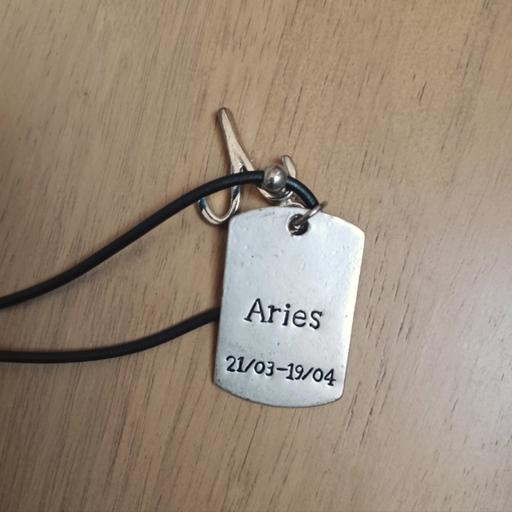 🥰♈️ Aries Zodiac Sign Necklace📿